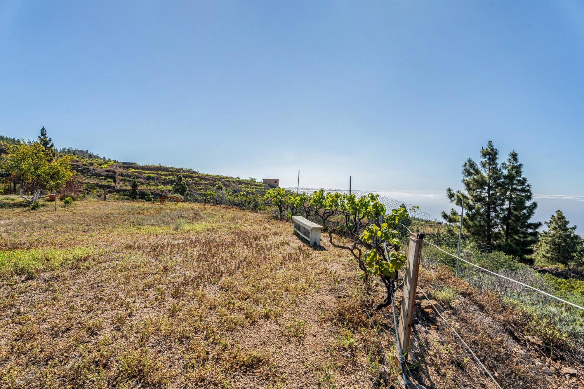 Land Of Dreams 2 Βίλα Granadilla De Abona Εξωτερικό φωτογραφία